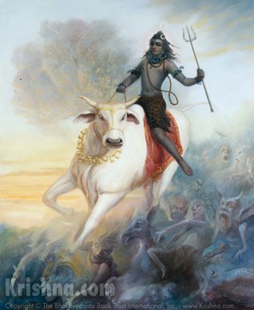 A grande noite de Shiva 10