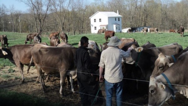 -7 I (notícia - Alimentação) Abre nos Estados Unidos Primeira Fábrica (1500) (pn)2