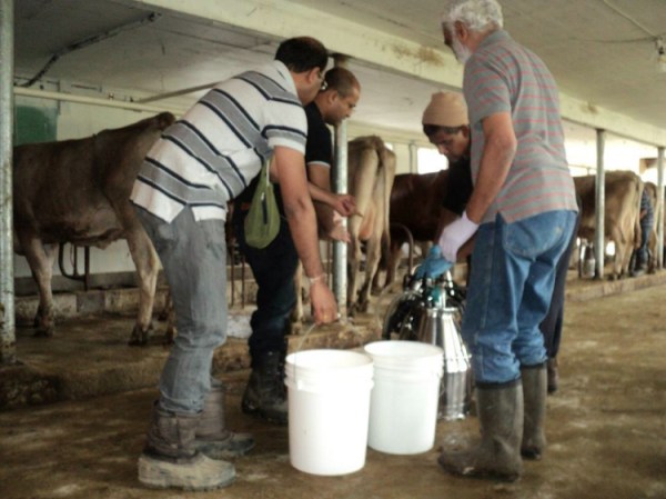 -7 I (notícia - Alimentação) Abre nos Estados Unidos Primeira Fábrica (1500) (pn)3