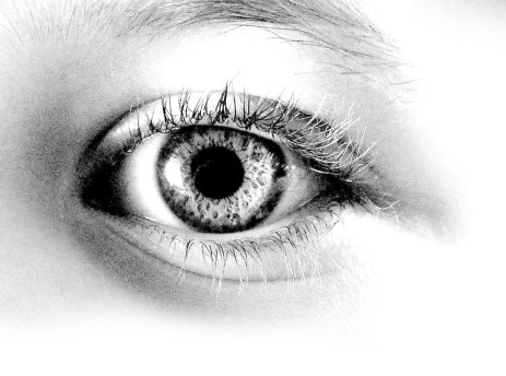 26 (artigo) O Karma Destrói a Compaixão (419)