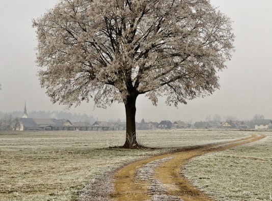 9 I (artigo - Ofensa e Perd¦o) Vingança ou Perd¦o (752) (sankirtana)