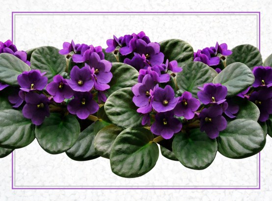 -02 (artigo - Cristianismo) I Por Que Devemos Adorar a Deus com Amor e Verdade (9005) (ta)