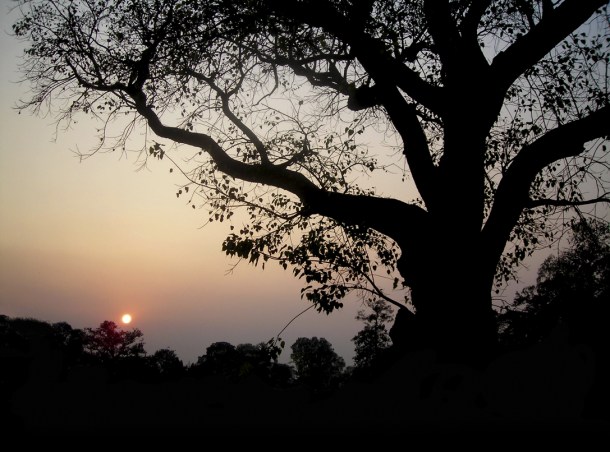 -16 (artigo - Caitanya e Associados) A Grande Fuga de Sanatana (2453) (ta)