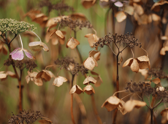 17 I (artigo - Superação de Obstáculos) Dê um Tempo para Si Antes que Seu Tempo Esgote (721) (sankirtana) (ta)
