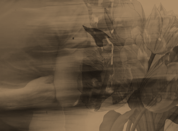 13 I (artigo - Karma e Reencarnação) Insultos, Tecidos e Flores (1006) (ta)