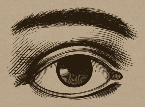 25 I (artigo - Virtudes) Santos e Críticos (504)6 (ta)