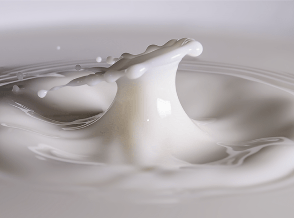 27 I (artigo - Chaitanya e Associados) O Leite de Leoa e o Coração de Barro (2000)5