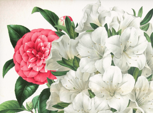 -@ 20 SI (artigo - teologia) Bhakti, a Mais Sublime Experiência Humana (2700) (bg) (pm) (ta) (sankirtana)