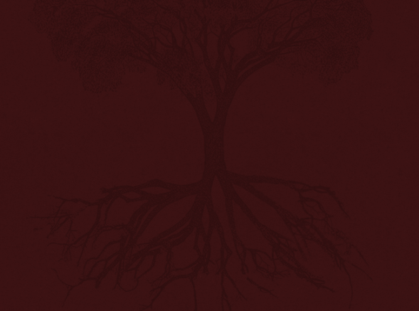 -10 I (artigo - Superação de Obstáculos) A Raiz da Ira (1705) (sankirtana) (ta)