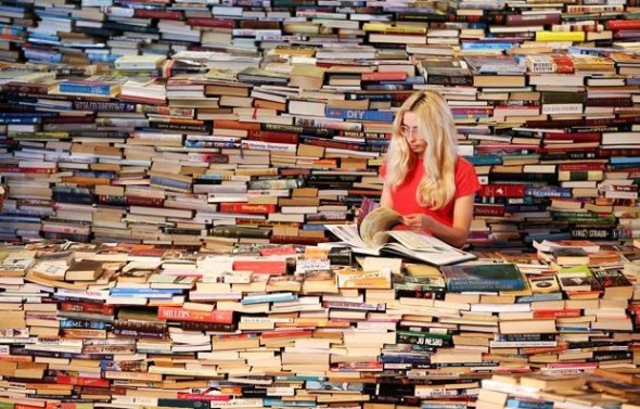 Guia de Leitura para Iniciantes