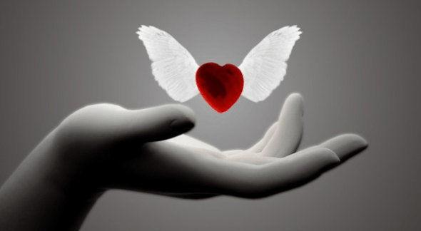 dia23 (artigo - Evolução Espiritual) I Amor Absoluto (ta)